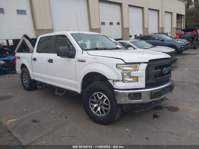 Photo 0 VIN: 1FTEW1EF7GKE46846 - FORD F-150 