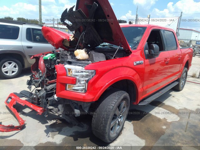 Photo 1 VIN: 1FTEW1EF7GKE93696 - FORD F-150 