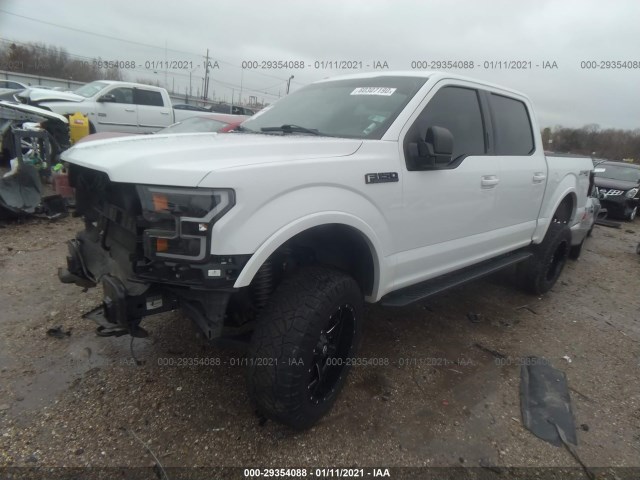 Photo 1 VIN: 1FTEW1EF7HFA80459 - FORD F-150 