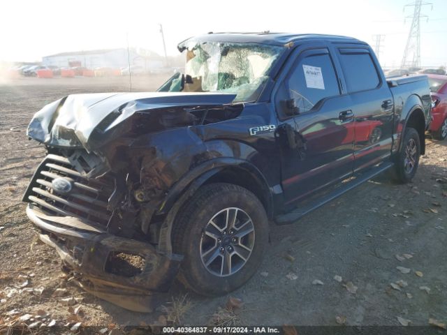 Photo 1 VIN: 1FTEW1EF7HFB20135 - FORD F-150 