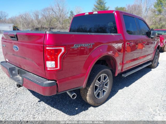 Photo 3 VIN: 1FTEW1EF7HFB75393 - FORD F-150 