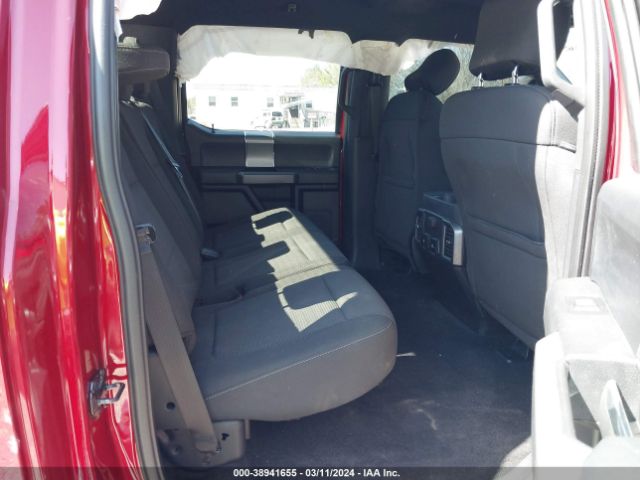 Photo 7 VIN: 1FTEW1EF7HFB75393 - FORD F-150 