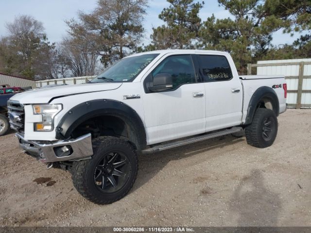 Photo 1 VIN: 1FTEW1EF7HKD77299 - FORD F-150 