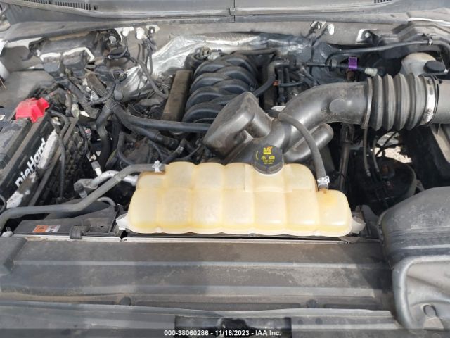 Photo 9 VIN: 1FTEW1EF7HKD77299 - FORD F-150 