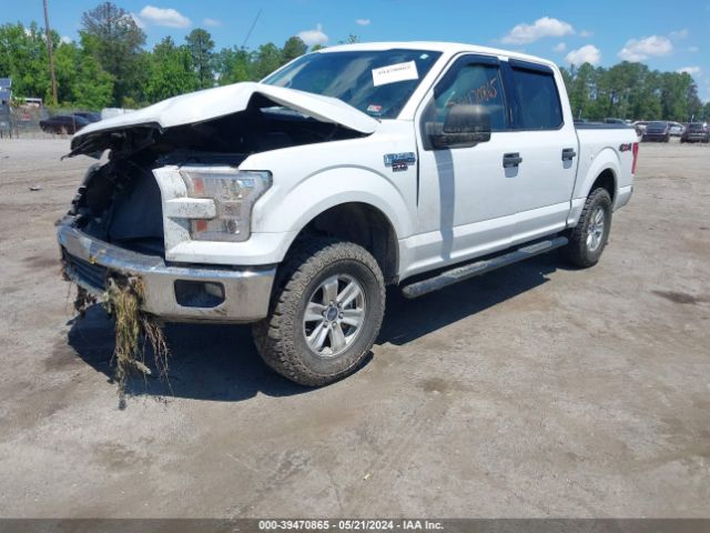 Photo 1 VIN: 1FTEW1EF8FFA59083 - FORD F-150 