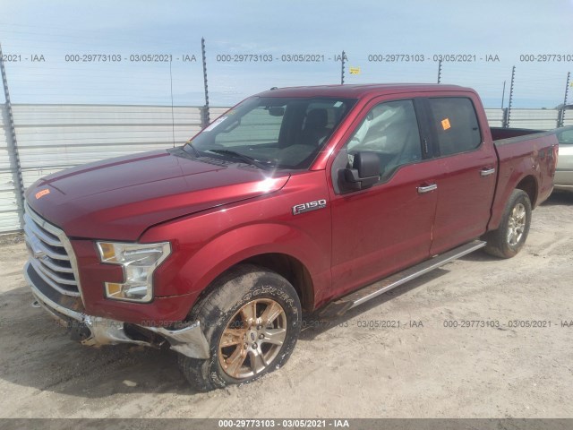 Photo 1 VIN: 1FTEW1EF8FFD01791 - FORD F-150 