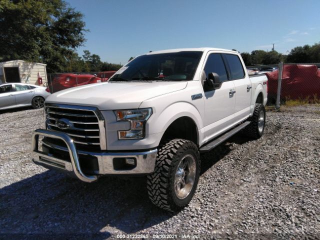 Photo 1 VIN: 1FTEW1EF8GFB08719 - FORD F-150 