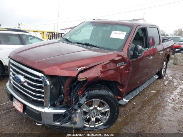 Photo 1 VIN: 1FTEW1EF8GFB31689 - FORD F-150 