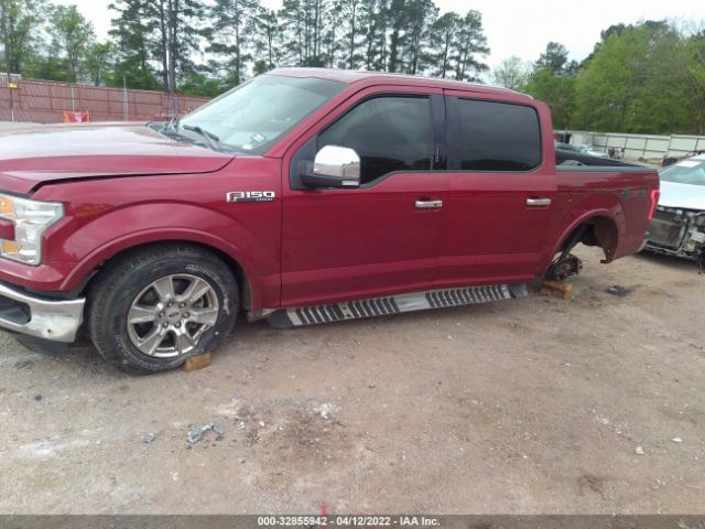 Photo 5 VIN: 1FTEW1EF8GKD23024 - FORD F-150 