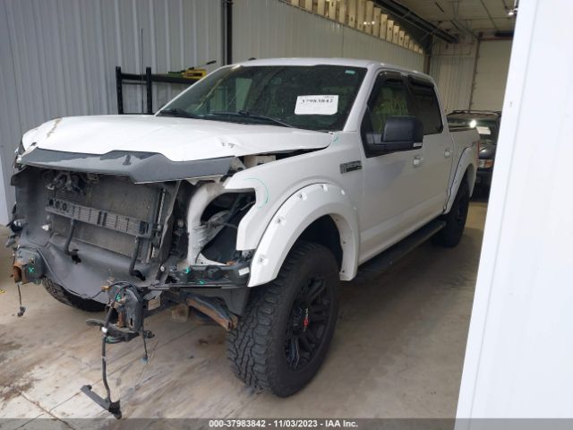 Photo 1 VIN: 1FTEW1EF8HKC21224 - FORD F-150 