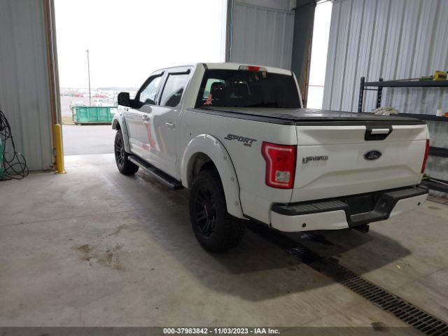 Photo 2 VIN: 1FTEW1EF8HKC21224 - FORD F-150 