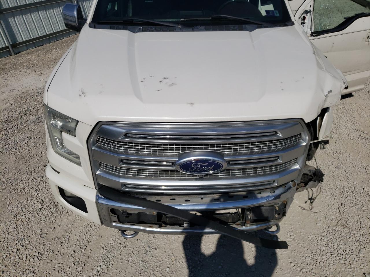 Photo 10 VIN: 1FTEW1EF9FFB68586 - FORD F-150 