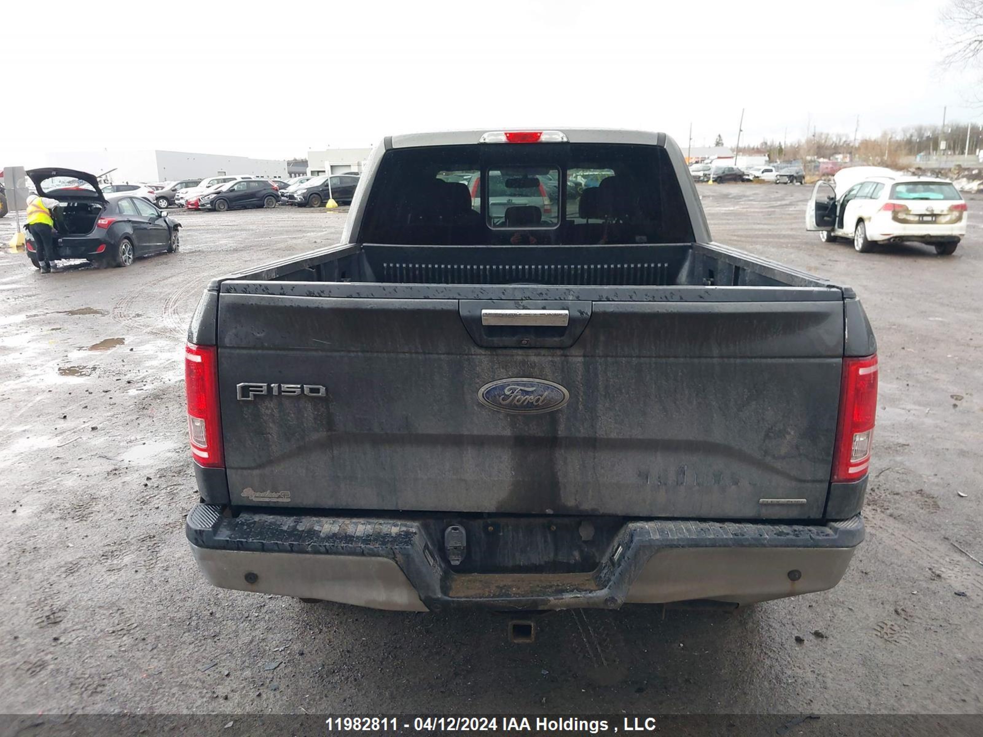 Photo 15 VIN: 1FTEW1EF9FFC39611 - FORD F-150 