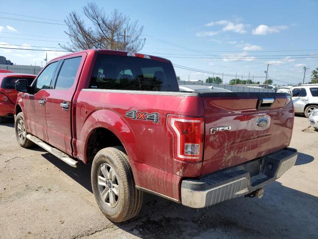 Photo 2 VIN: 1FTEW1EF9GFA23095 - FORD F150 SUPER 