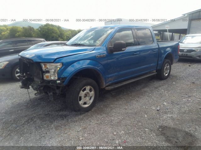 Photo 1 VIN: 1FTEW1EF9GFC56443 - FORD F-150 