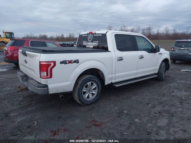 Photo 3 VIN: 1FTEW1EF9HFB91594 - FORD F-150 