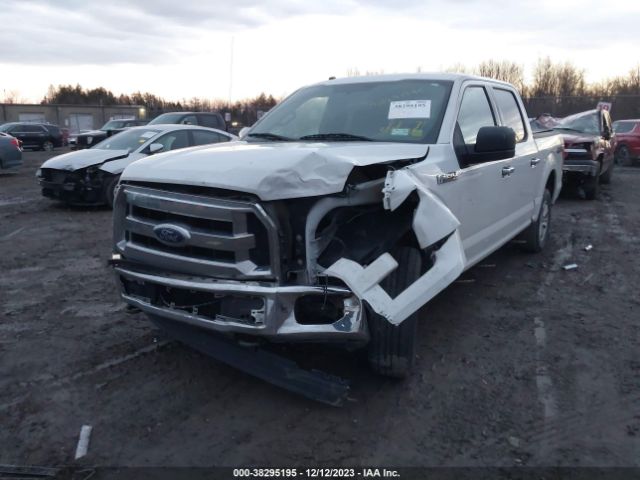 Photo 5 VIN: 1FTEW1EF9HFB91594 - FORD F-150 