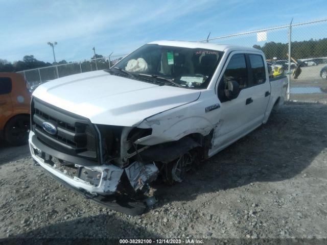 Photo 1 VIN: 1FTEW1EFXFFA61532 - FORD F-150 