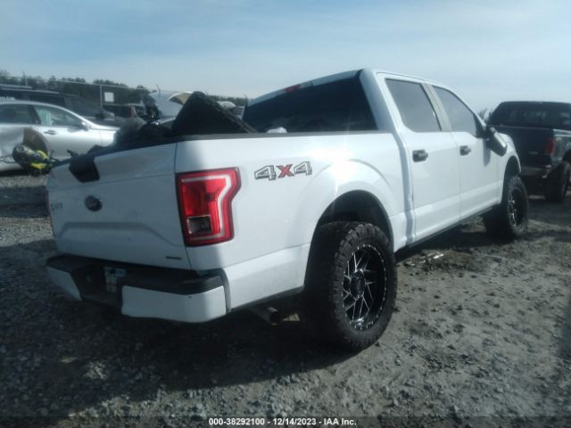 Photo 3 VIN: 1FTEW1EFXFFA61532 - FORD F-150 