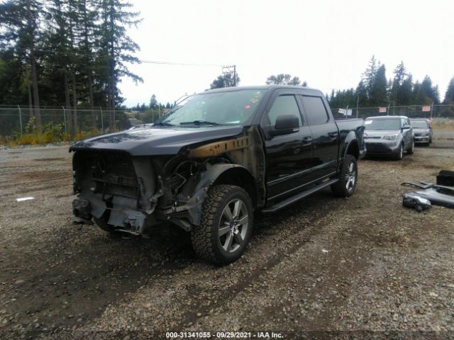 Photo 1 VIN: 1FTEW1EFXGKE18118 - FORD F-150 