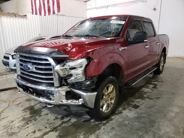 Photo 1 VIN: 1FTEW1EFXGKF09101 - FORD F150 SUPER 