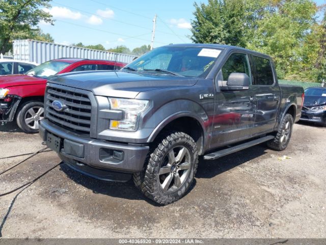 Photo 1 VIN: 1FTEW1EG0FFB02162 - FORD F-150 