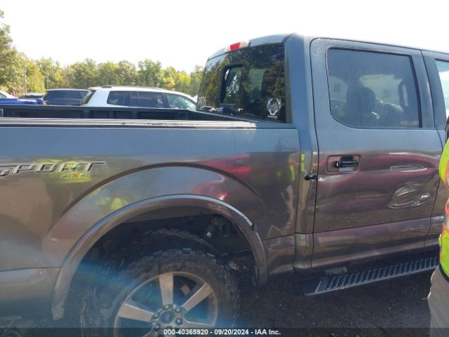 Photo 5 VIN: 1FTEW1EG0FFB02162 - FORD F-150 