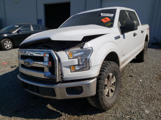 Photo 1 VIN: 1FTEW1EG0GKD46323 - FORD F150 SUPER 