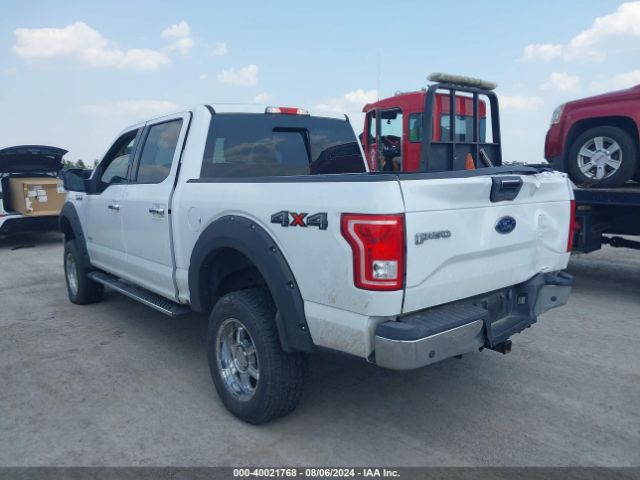 Photo 2 VIN: 1FTEW1EG1FKD24202 - FORD F-150 