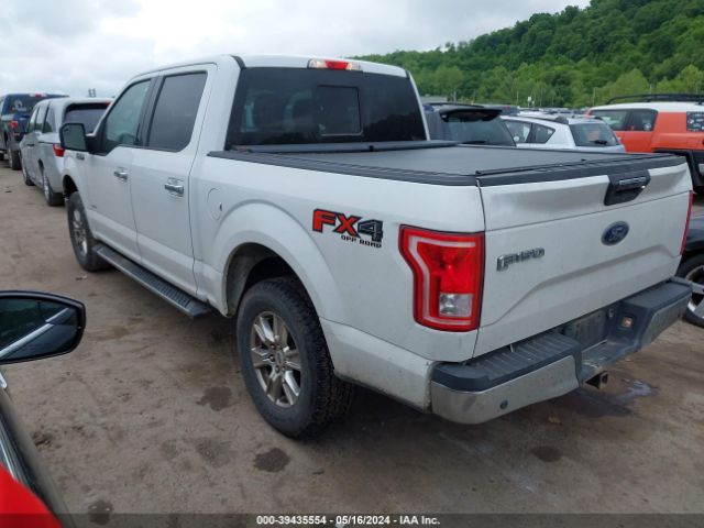 Photo 2 VIN: 1FTEW1EG1GFA76253 - FORD F150 