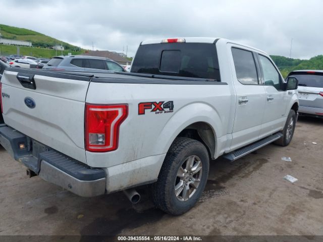 Photo 3 VIN: 1FTEW1EG1GFA76253 - FORD F150 