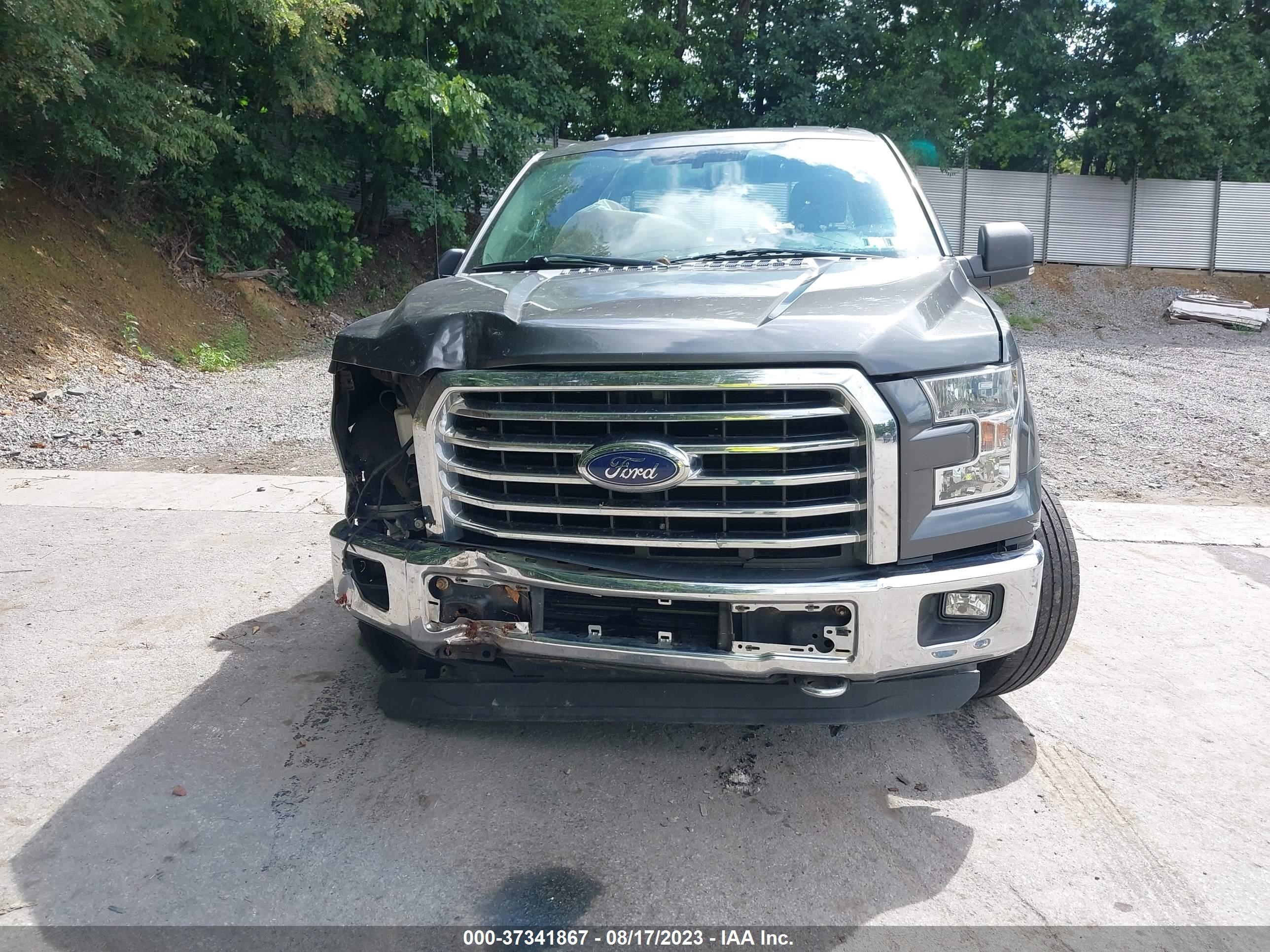 Photo 12 VIN: 1FTEW1EG2FFB31520 - FORD F-150 