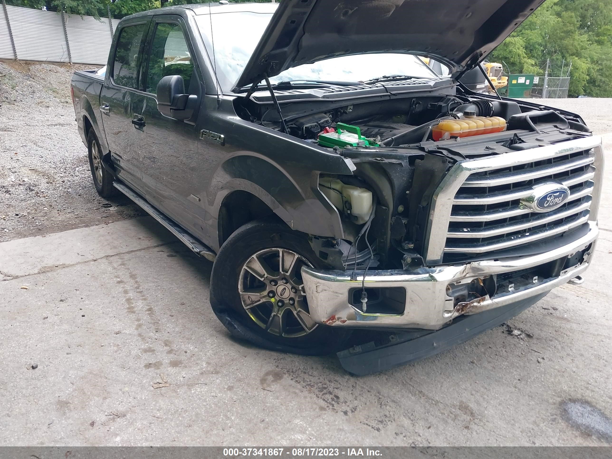 Photo 5 VIN: 1FTEW1EG2FFB31520 - FORD F-150 