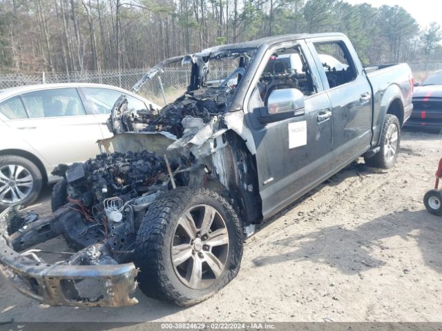 Photo 1 VIN: 1FTEW1EG2FFB37334 - FORD F-150 