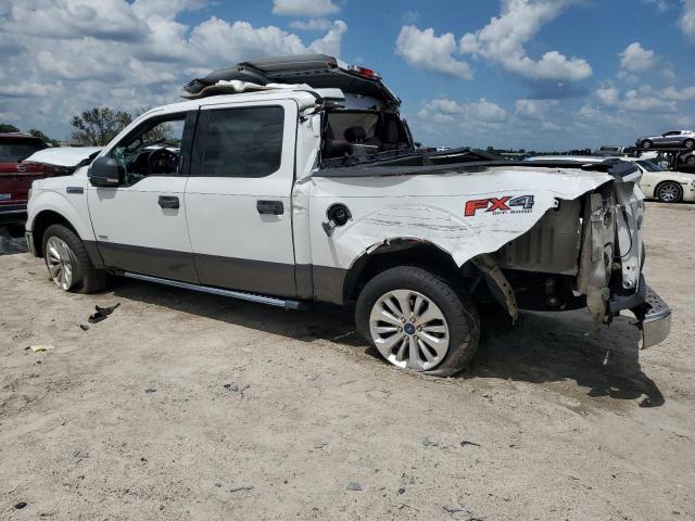 Photo 1 VIN: 1FTEW1EG2FFC27129 - FORD F150 SUPER 