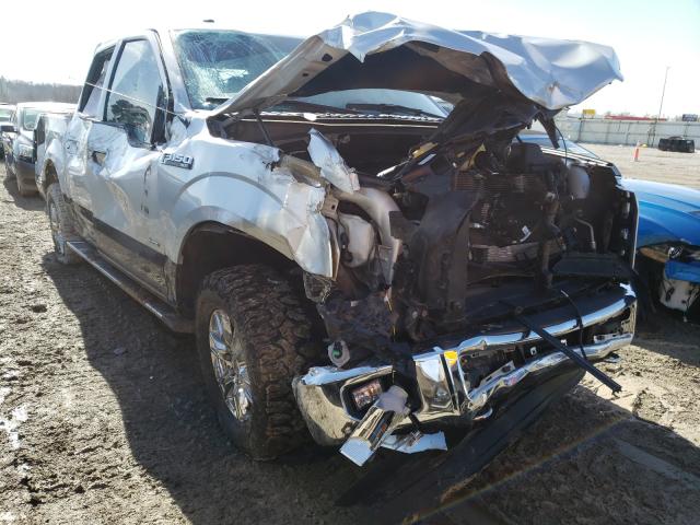 Photo 0 VIN: 1FTEW1EG2GKE81710 - FORD F150 SUPER 