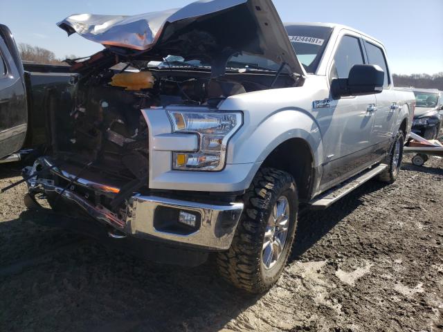 Photo 1 VIN: 1FTEW1EG2GKE81710 - FORD F150 SUPER 