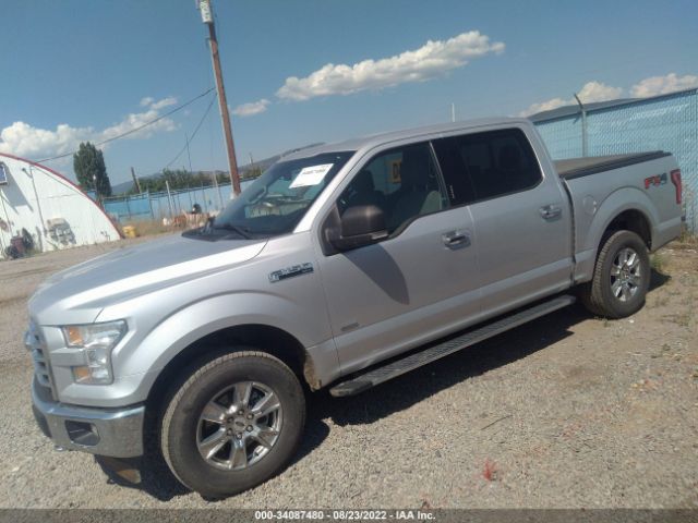 Photo 1 VIN: 1FTEW1EG2HKC91259 - FORD F-150 