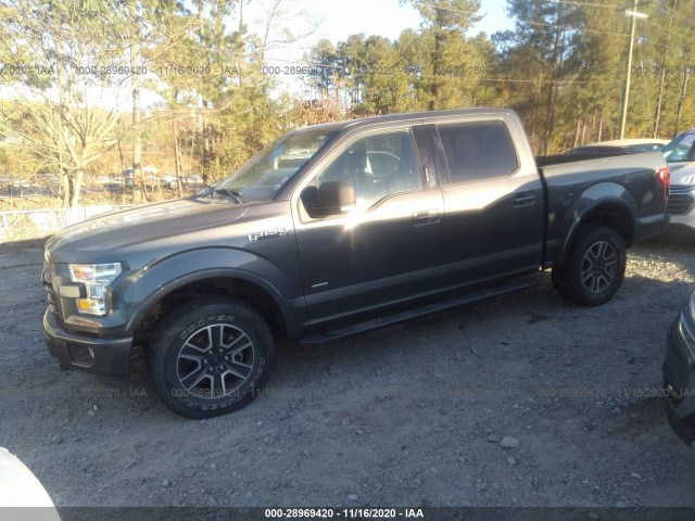 Photo 1 VIN: 1FTEW1EG3FFA30812 - FORD F-150 