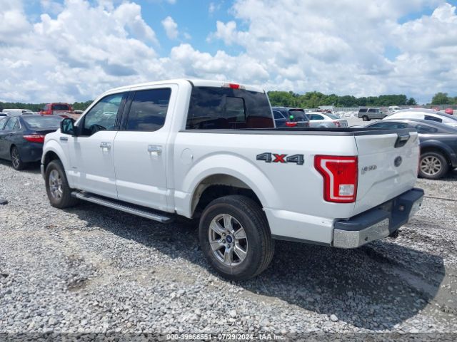 Photo 2 VIN: 1FTEW1EG3FFA48534 - FORD F-150 