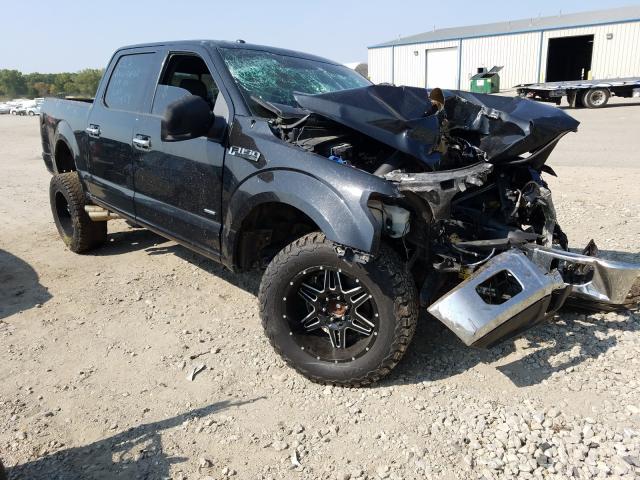 Photo 8 VIN: 1FTEW1EG3FFC52041 - FORD F150 SUPER 