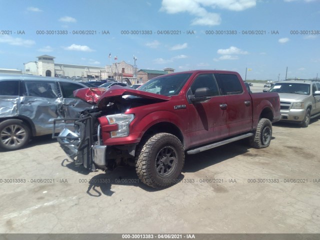 Photo 1 VIN: 1FTEW1EG3GKD42654 - FORD F-150 