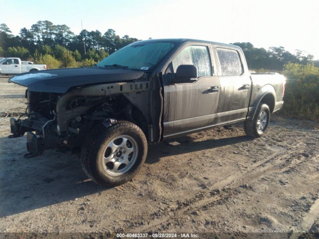 Photo 1 VIN: 1FTEW1EG3HFC79615 - FORD F-150 