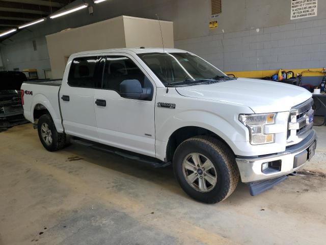 Photo 3 VIN: 1FTEW1EG3HKD46642 - FORD F150 SUPER 