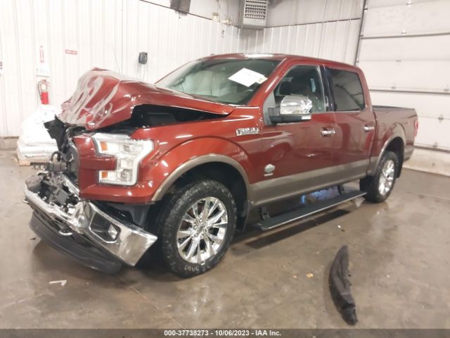 Photo 1 VIN: 1FTEW1EG4FFC77577 - FORD F-150 