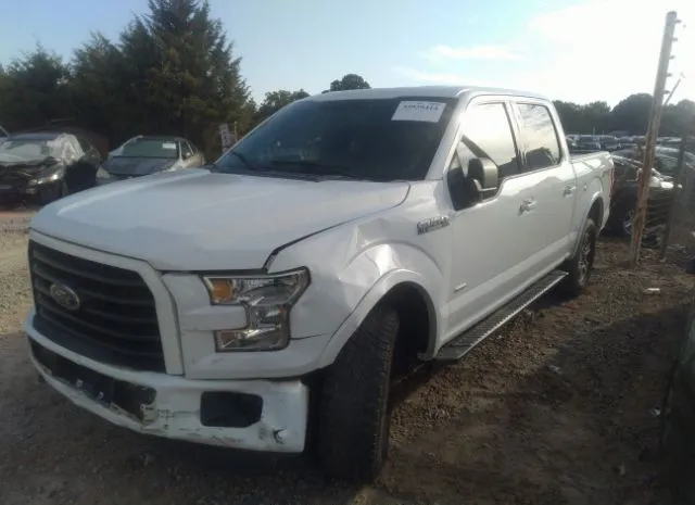 Photo 1 VIN: 1FTEW1EG4FFD02185 - FORD F-150 