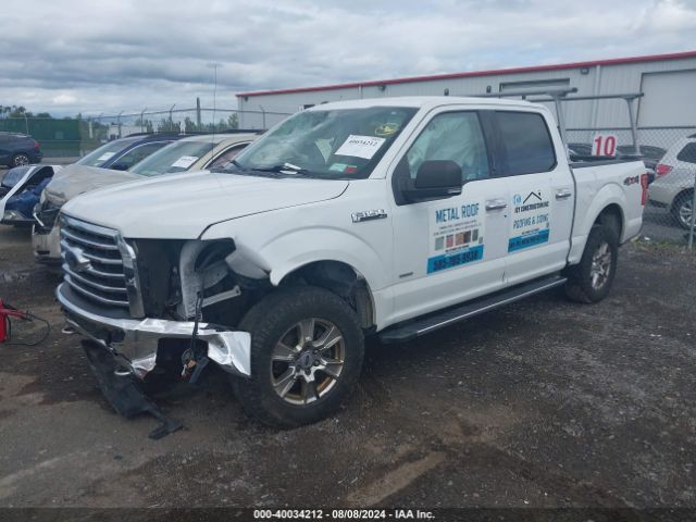 Photo 1 VIN: 1FTEW1EG4GFB31018 - FORD F-150 