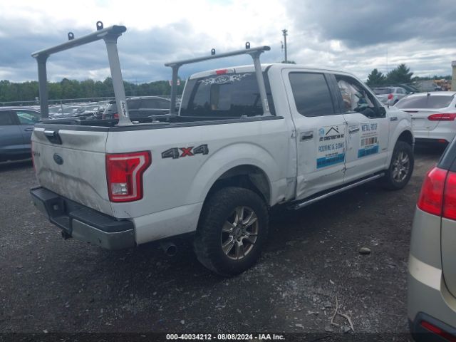 Photo 3 VIN: 1FTEW1EG4GFB31018 - FORD F-150 