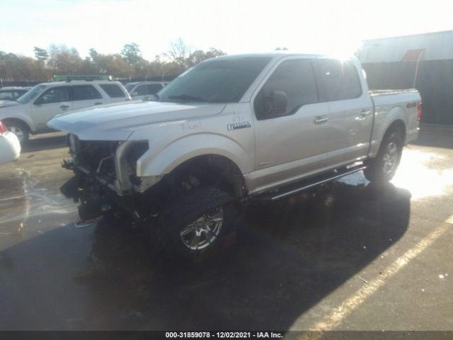 Photo 1 VIN: 1FTEW1EG4GFD48391 - FORD F-150 