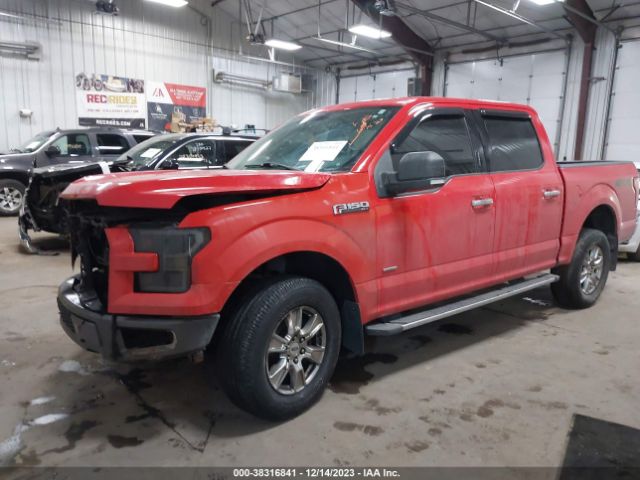 Photo 1 VIN: 1FTEW1EG4GKD56238 - FORD F150 